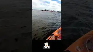 Só na batida das ondas #shorts