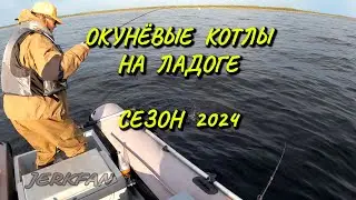 Окунёвые котлы на Ладоге/сезон 2024