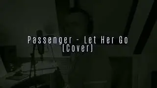 Passenger - Let Her Go ( Cover)