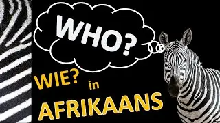 Asking Who in Afrikaans