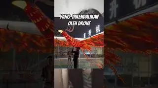 pria ini buat layangan phoenix
