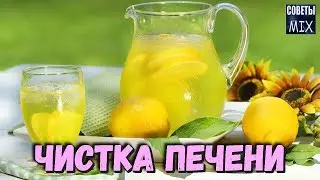 Как очистить печень с помощью простого напитка в домашних условиях