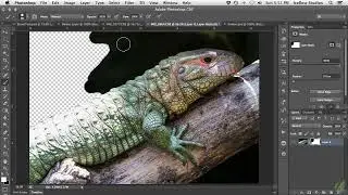 Photoshop Layer Masks