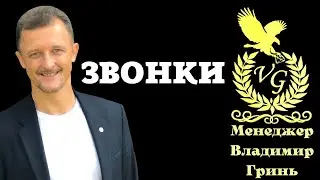 ЗВОНКИ / Владимир Гринь