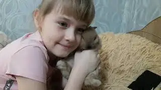 #ужас#ПОБЕГ ИЗ ТЮРЬМЫ#ЗНАКОМЬТЕСЬ КРОЛИК "ЛУНЯ"#@Мой питомец