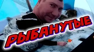 #РЫБАНУТЫЕ