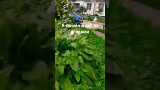 #музыка #гномы #боже #тренд #существа #рыцари #рекомендации #мем #юмор #lego