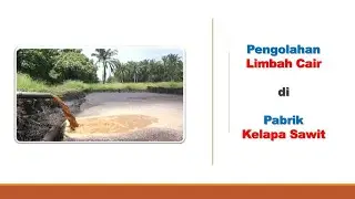 BAGAIMANA PENGOLAHAN LIMBAH CAIR PABRIK KELAPA SAWIT | Palm Oil Mill Effluent (POME)