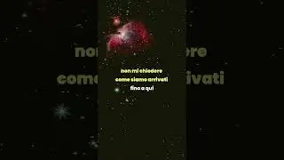 Non Sembra Milano - Il Conte Biagio (Lyric Video)