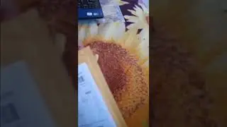 Пришёл шлейф матрицы Lenovo s110