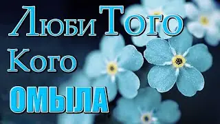 Христианские песни | Люби Того Кого омыла