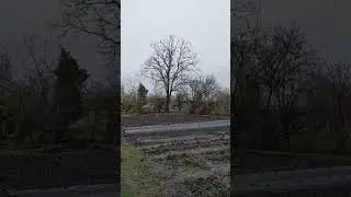 Осень на юге 22 ноября