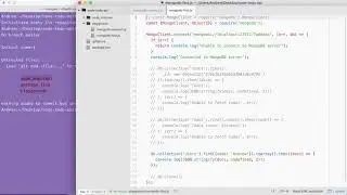 MongoDB Mongoose and REST APIs (Todo API): Setting Up The Repo