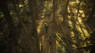 Living Among the Trees of British Columbia's Forests