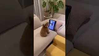 Более годных видео у меня на канале (чек описание) #shorts #lifehacks #hack #life #fine # тик-ток