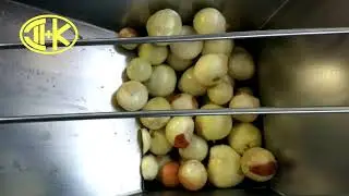 Измельчение лука на волчке мясорубке ДВАК В 160-01 (К7ФВП-160-01)