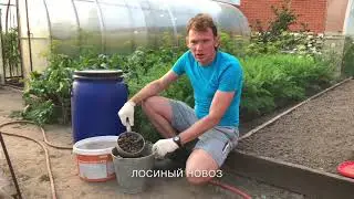 Лосиный навоз! Удобрение и подкормкам для всех растений.