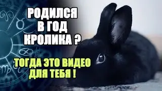 Born in the Year of the Rabbit? Then this video is for you!