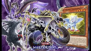 YU-GI-OH! MASTER DUEL - LIGHTSWORN ZOMBIE | Maxx C WHO?