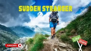 Sudden Stranger