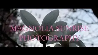 Pacific Northwest Nature Photography