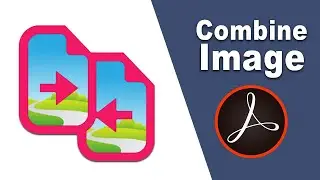 How to combine multiple images in PDF using adobe acrobat pro 2017