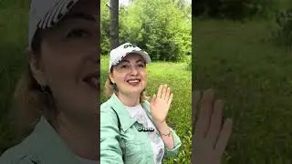 ЭФИРУ про ДЕНЕЖНОЕ МЫШЛЕНИЕ БЫТЬ!