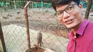 I recreated the first video on YouTube #Me at the Zoo