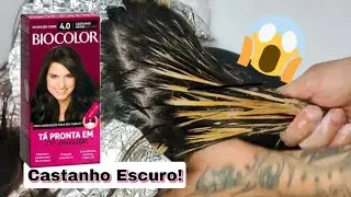 Parte 01 - Mechas em cabelo com coloração CASTANHO MÉDIO 4.0 Biocolor By Heder Freire