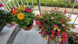 КИПР🇨🇾КАТАКЛИЗМОС🌊🥰С ПРАЗДНИКОМ ВСЕХ🌺