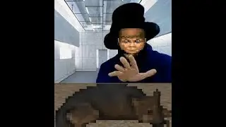 MyHouse.wad All Endings% WR (