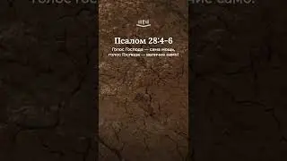Псалом 28:4-6 современный перевод Библии #shorts
