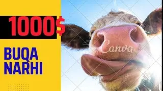 #сурхондарйо