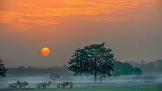 Beautiful village Assam #moi aru mur Jeevan  #comedyfilms