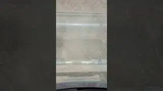 Уборка озимой пшеницы, вид с кабины. Вектор 410 