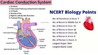 Biology points | Cardiac Conduction System | #trending #shortvideo #students #standard