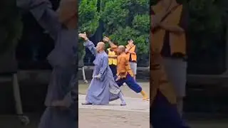 Shaolin Temple #shifukanishka #wushu #martialarts #shaolin #kungfu #shifu #shaolinmaster