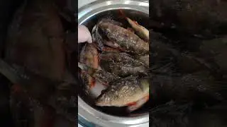 Крупный окунь. Копчёный окунь.