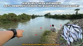 SAAT SURUT IKAN DIPINGGIR TINGGAL AMBIL!! Mancing wader teknik kumbul umpan klik Neuroattractant