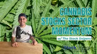 Cannabis Stocks