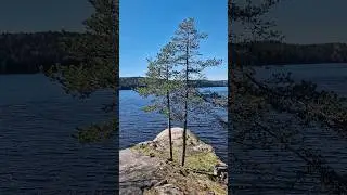 Ладожское озеро. Май. 