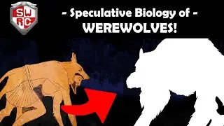 Werewolves Brought to life! (Speculative Biology)