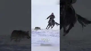 The dog PROTECTED the flock from the brazen wolf 😱🔥🐕