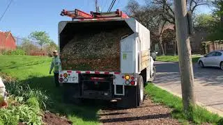 2018 wood chips 1st load
