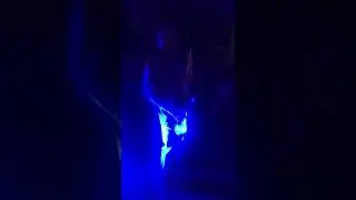 Анатолий Беляев саксофон "Для меня нет тебя прекрасней" 8-920-410-79-01 г. Воронеж   2021 год
