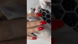 #foxy