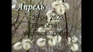 Кировская область _ новости 28.04.2023