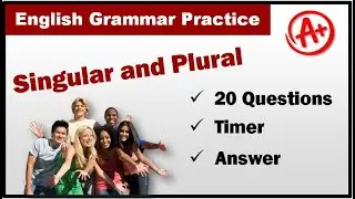 Grammar Practice - Singular & Plural
