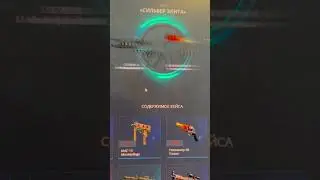 Самый дорогой кейс на case battle 