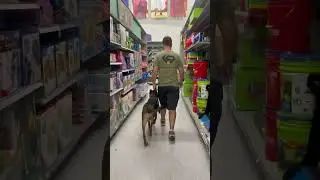 Ashley at a store #k9protection #dogtraining #workingk9